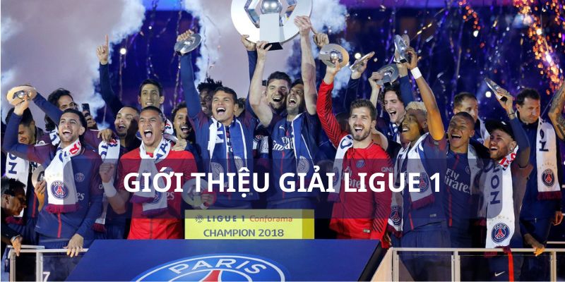 Những điều cơ bản cần biết về giải Ligue 1