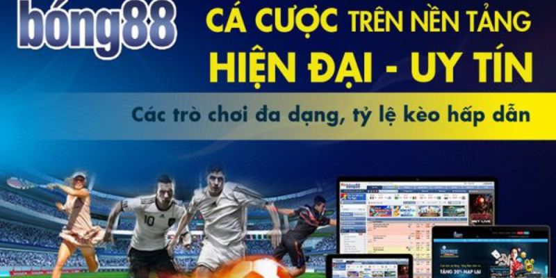 Hệ thống cung cấp vô vàn tỷ lệ kèo thơm cho anh em bet thủ